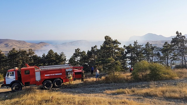 Whindersson Nunes contrata avião-tanque para auxiliar no combate a incêndios florestais no Piauí
